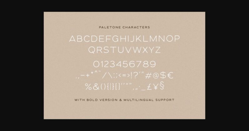 Paletone Font Poster 4