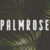 Palmrose Font