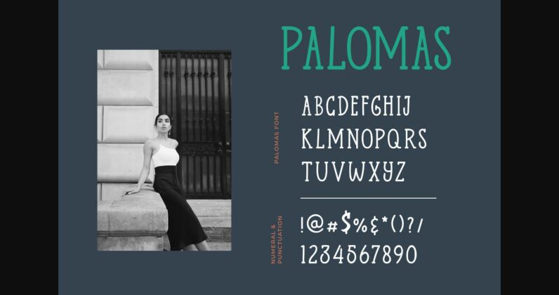 Palomas Poster 6