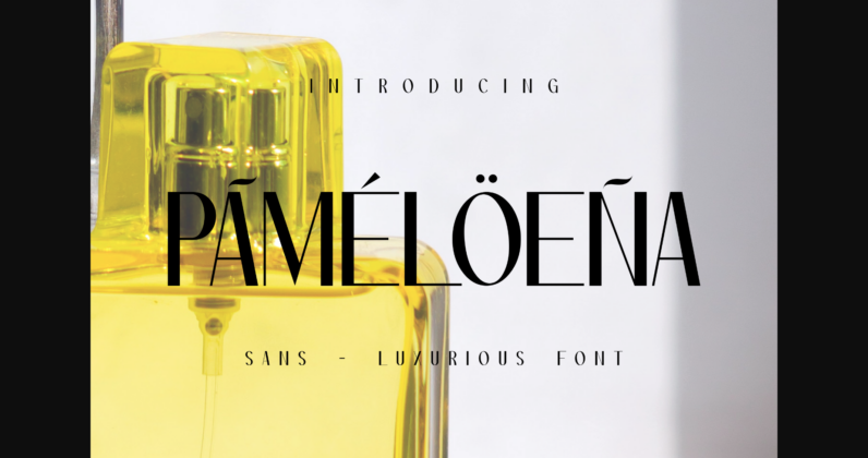 Pameloena Font Poster 3