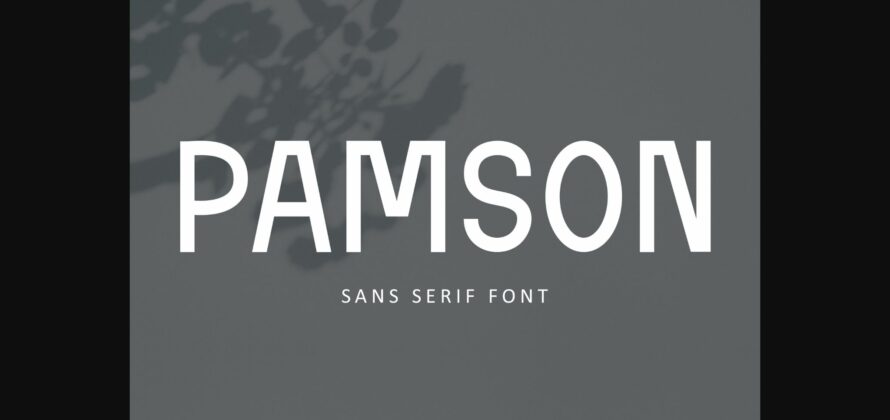 Pamson Font Poster 3