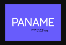 Paname Font Poster 1