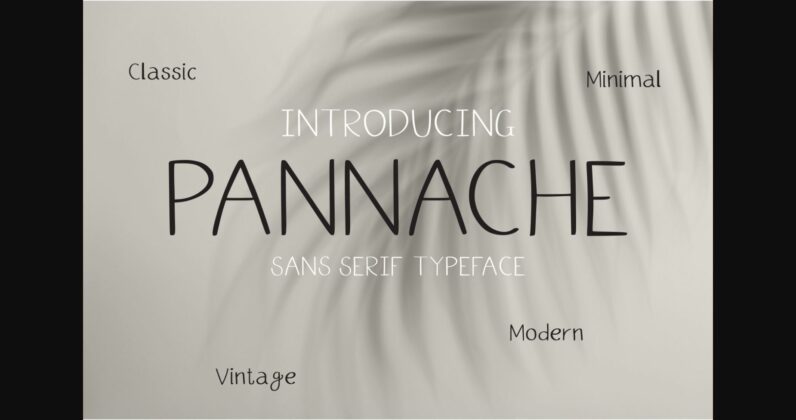 Pannache Font Poster 3