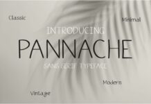 Pannache Font Poster 1