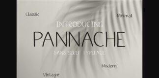 Pannache Font Poster 1