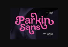 Parkin Sans Font Poster 1
