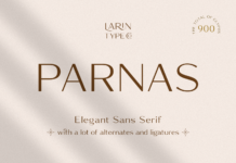 Parnas Sans Font Poster 1