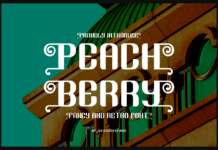 Peach Berry Font Poster 1