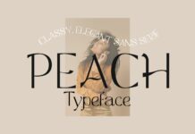 Peach Font Poster 1