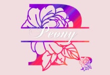 Peony Split Font Poster 1