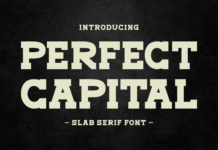 Perfect Capital Poster 1