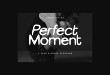 Perfect Moment Font Poster 1