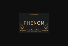 Phenom Extra Black Font Poster 1