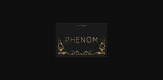 Phenom Light Font Poster 1
