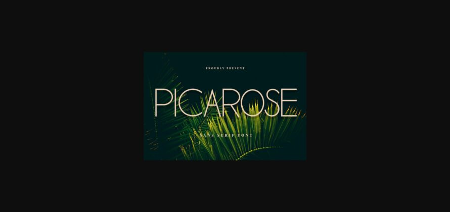 Picarose Font Poster 3