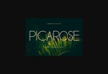 Picarose Font Poster 1