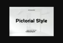 Pictorial Style Font Poster 1