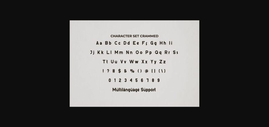 Pictorial Style Font Poster 9