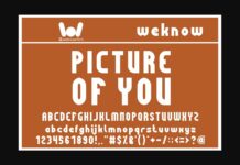 Picture of You Font Poster 1