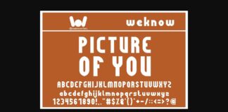 Picture of You Font Poster 1