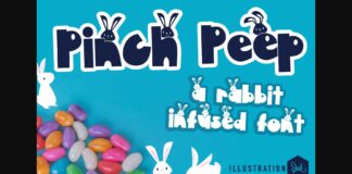 Pinch Peep Font Poster 1