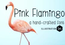 Pink Flamingo Font Poster 1
