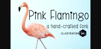 Pink Flamingo Font Poster 1