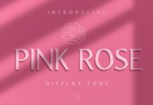 Pink Rose Poster 1