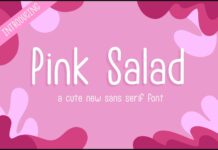 Pink Salad Font Poster 1