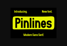 Pinlines Font Poster 1