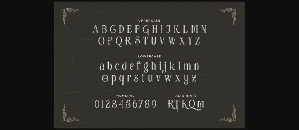 Pirate Hunter Font Poster 4