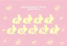 Play Book Font Poster 1