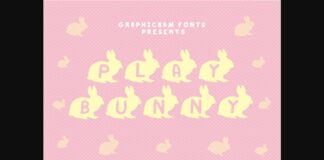 Play Book Font Poster 1