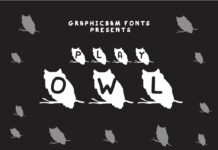 Play Owl Font Poster 1