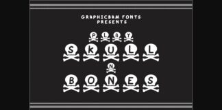 Play Skull N Bones Font Poster 1
