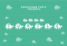 Play Turtle Font Poster 1