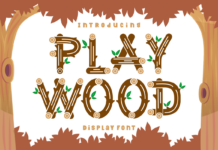 Playwood Font Poster 1
