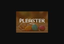 Pleaster Font Poster 1