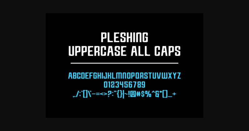 Pleshing Font Poster 5