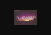 Plineparket Font Poster 1