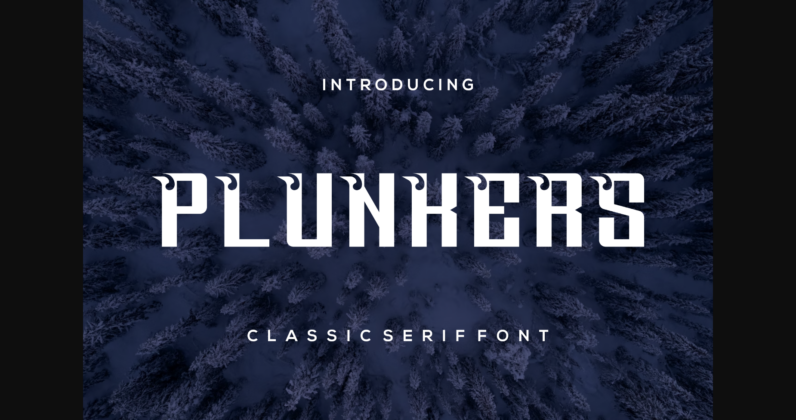 Plunkers Font Poster 3