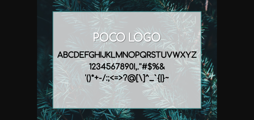 Poco Logo Font Poster 6