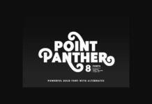Point Panther Font Poster 1