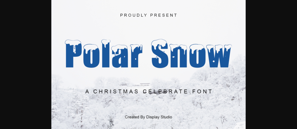 Polar Snow Font Poster 3