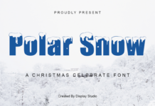 Polar Snow Font Poster 1