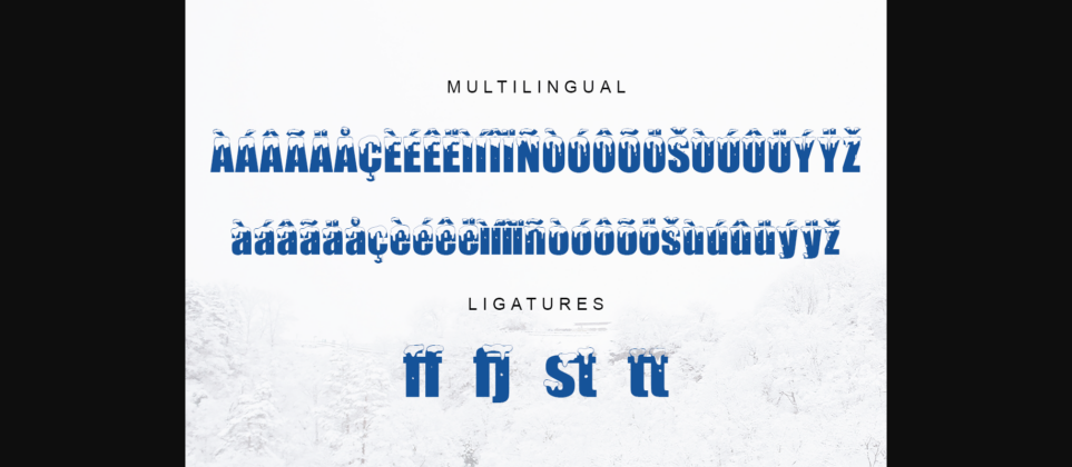 Polar Snow Font Poster 11