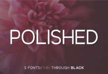 Polished Font Poster 1