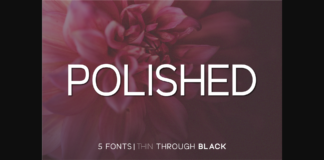 Polished Font Poster 1