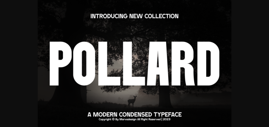 Pollard Font Poster 3