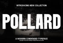 Pollard Font Poster 1